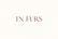 In Furs - Accueil
